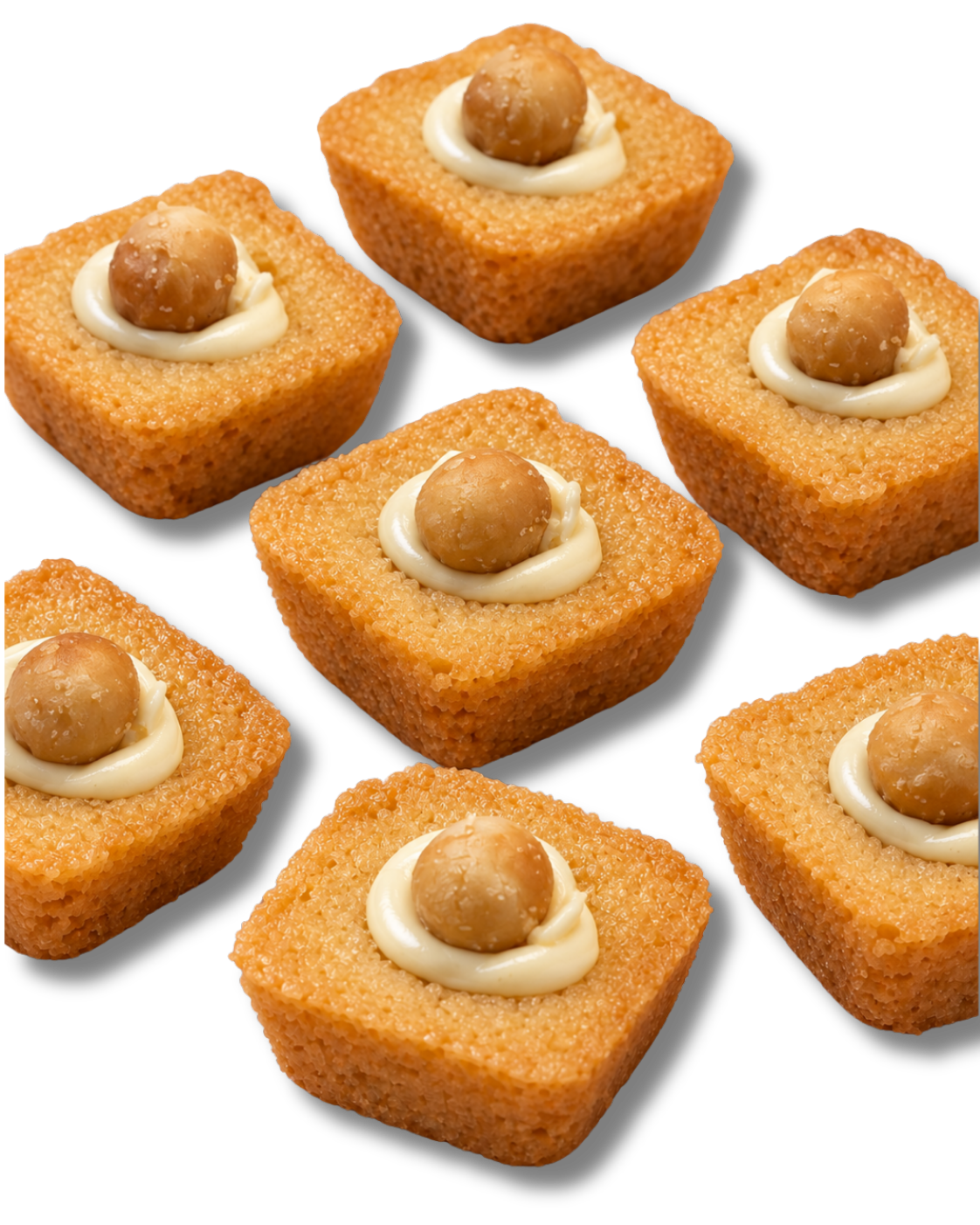 Vanille Macadamia Blondie Bites